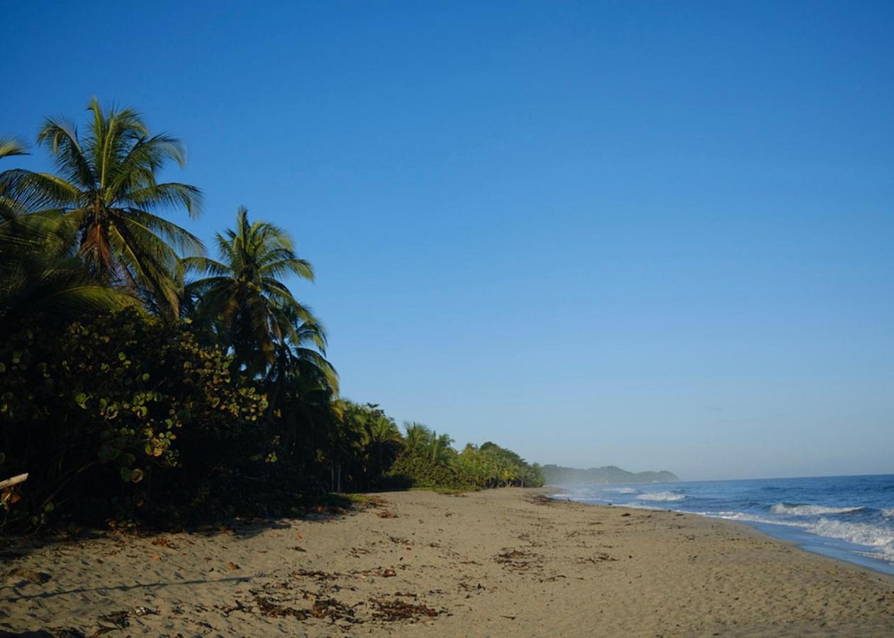 Palmario Hostal Guachaca Bagian luar foto
