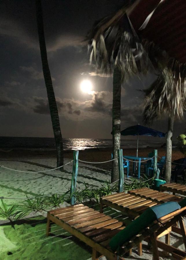 Palmario Hostal Guachaca Bagian luar foto