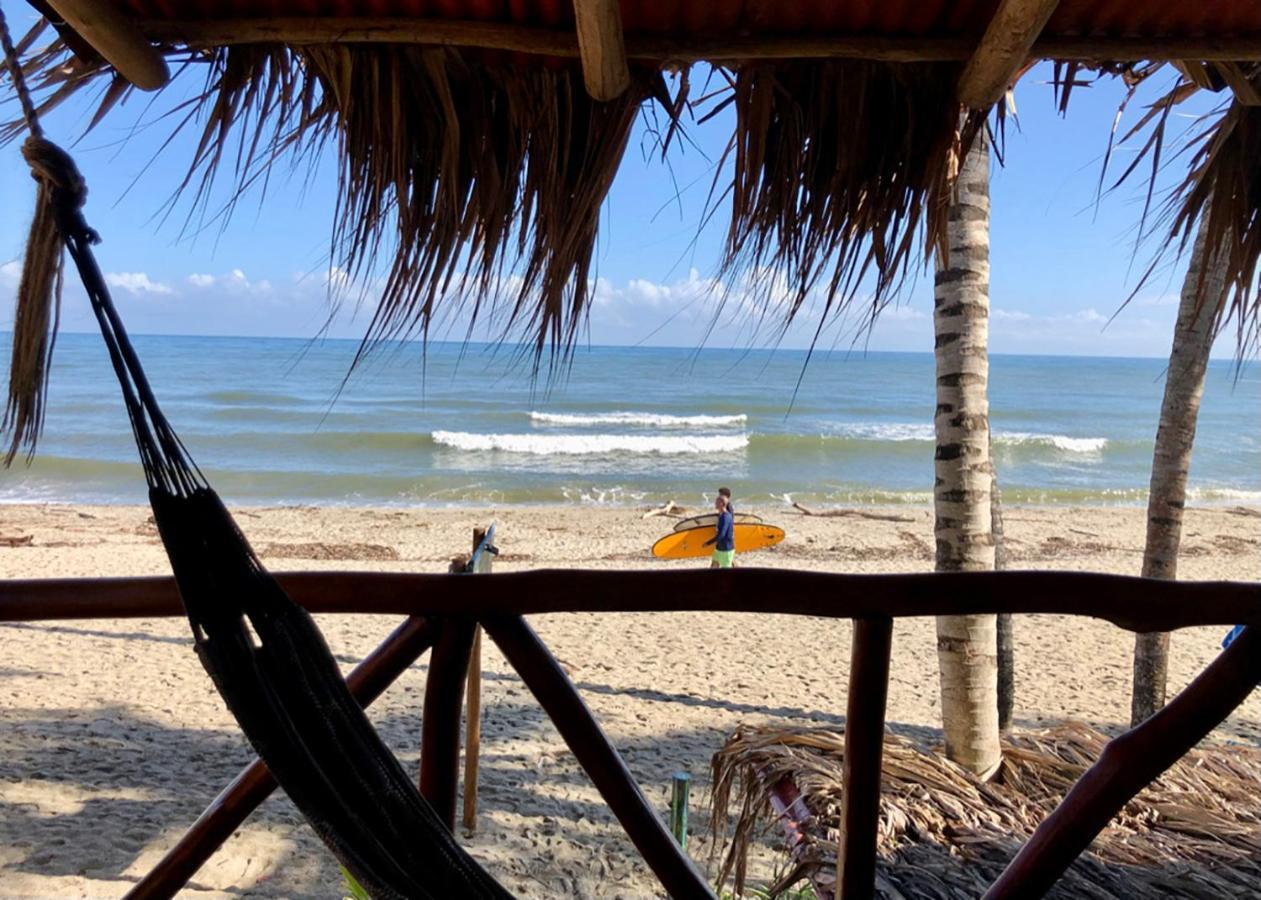 Palmario Hostal Guachaca Bagian luar foto