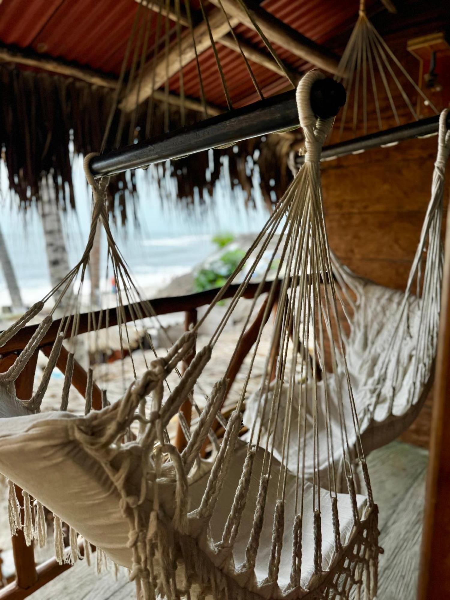 Palmario Hostal Guachaca Bagian luar foto
